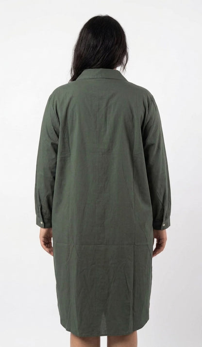 Back view